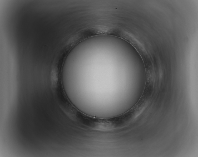 X0000102370215200808011520