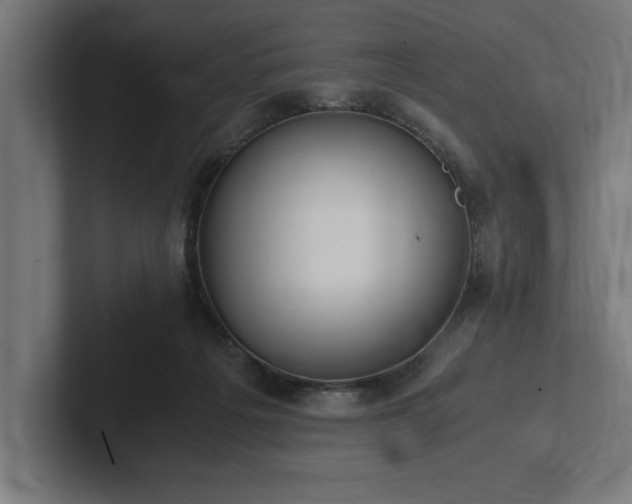 X0000102370217200808011520