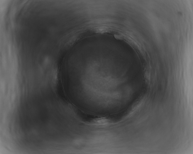 X0000102370219200808011520