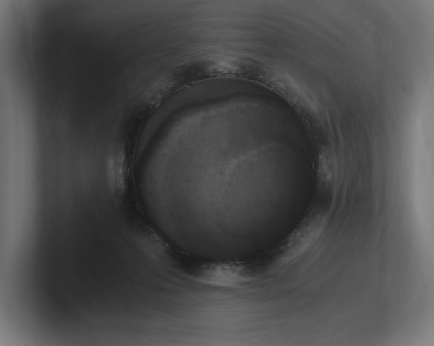 X0000102370223200808011520