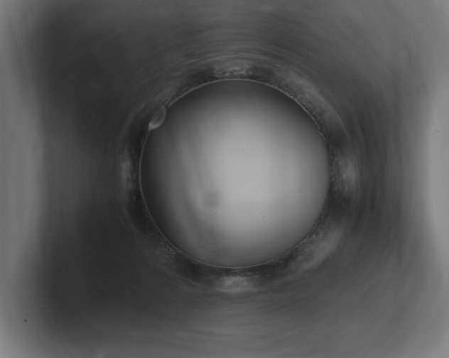 X0000102370224200808011520