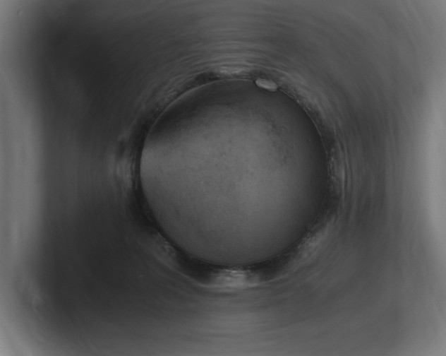 X0000102370227200808011520