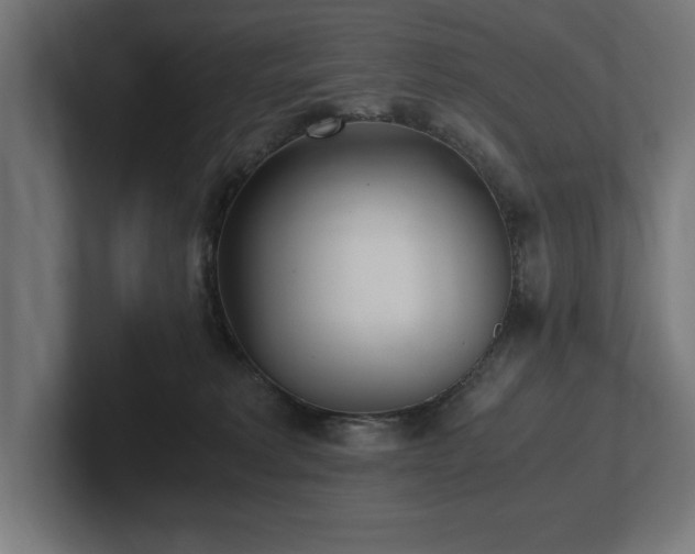 X0000102370229200808011519