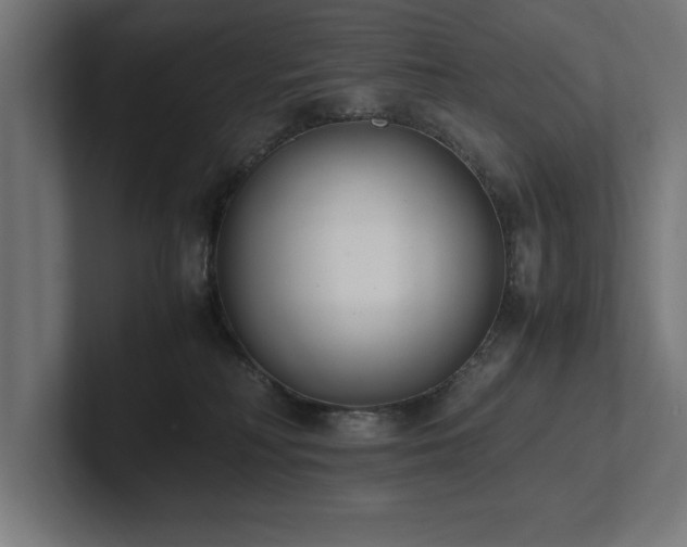 X0000102370230200808011519