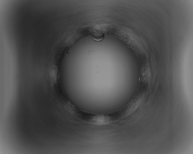 X0000102370231200808011519