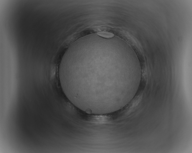 X0000102370233200808011519