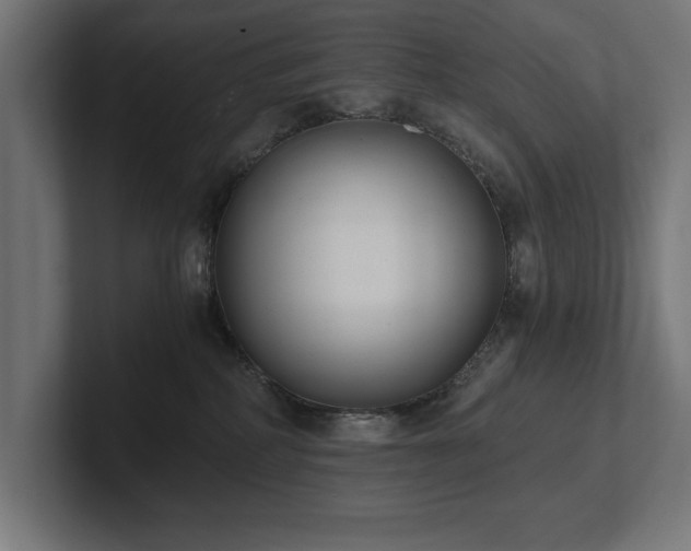 X0000102370234200808011519