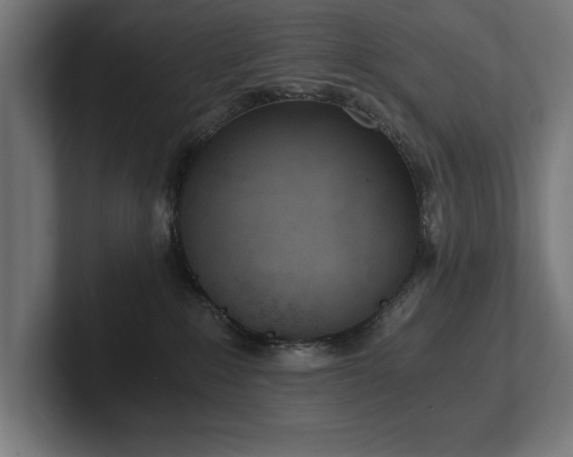X0000102370235200808011519
