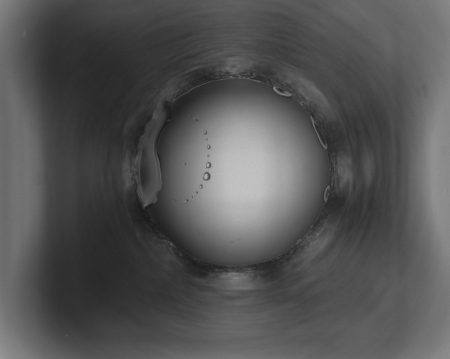 X0000102370236200808011519