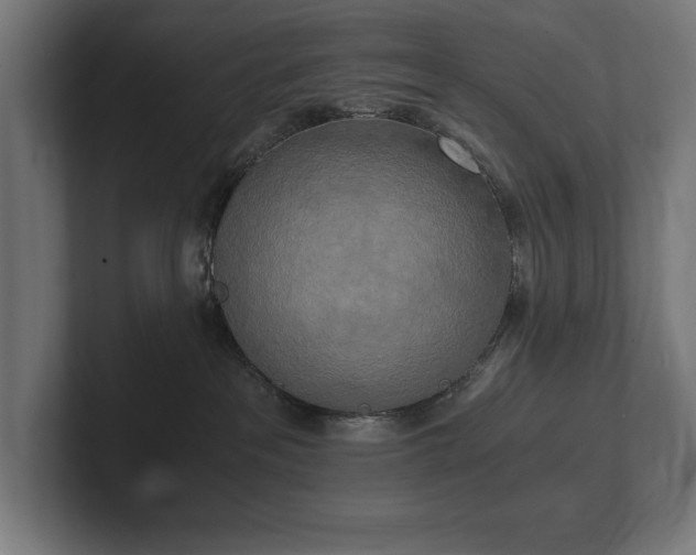 X0000102370237200808011519