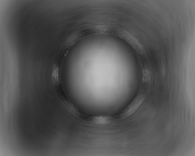 X0000102370238200808011519