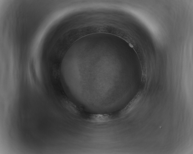 X0000102370239200808011519