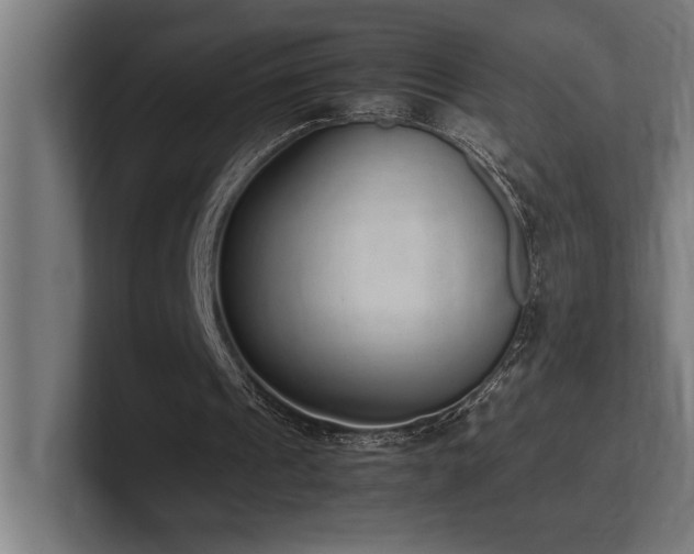 X0000102370241200808011519