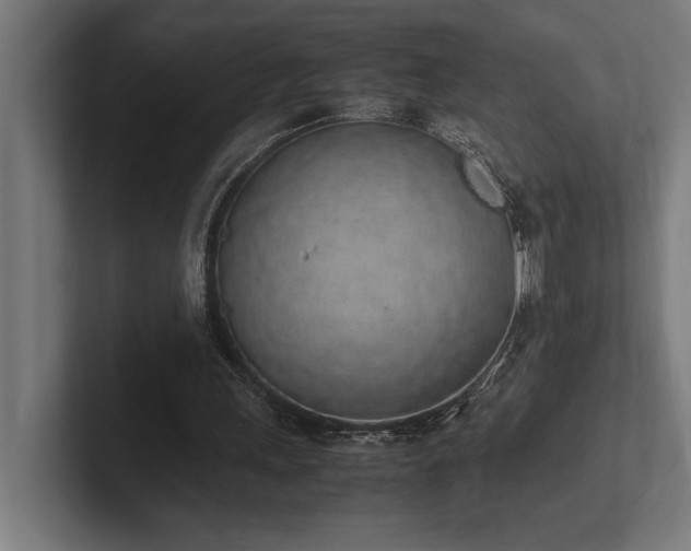X0000102370243200808011519