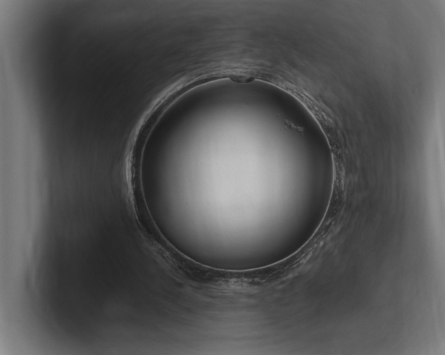 X0000102370244200808011519