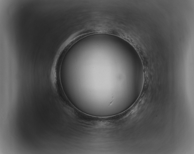X0000102370246200808011519