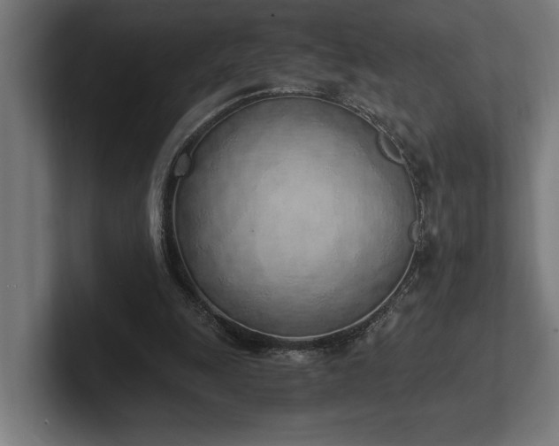 X0000102370247200808011519