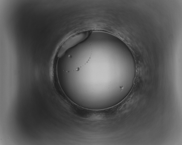 X0000102370248200808011519