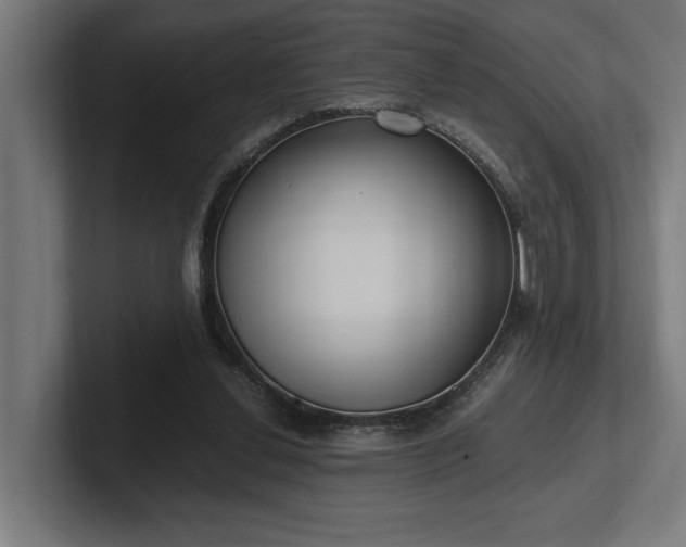 X0000102370252200808011519