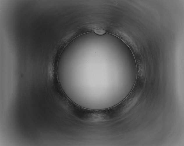 X0000102370255200808011519