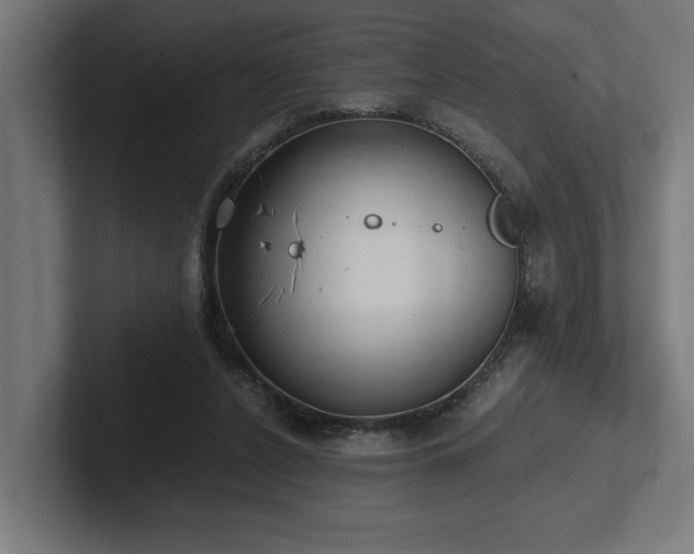 X0000102370256200808011519