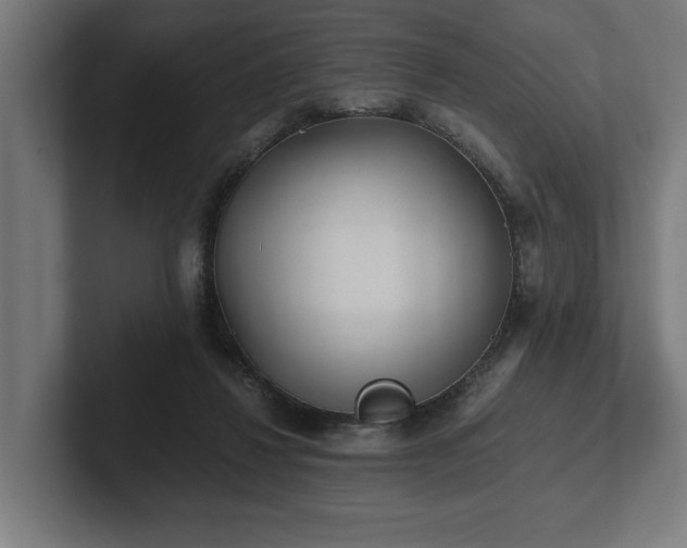 X0000102370260200808011519