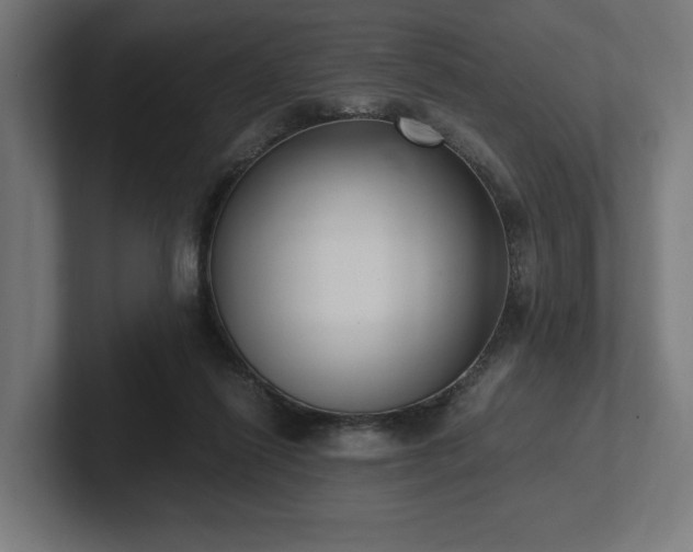 X0000102370262200808011519