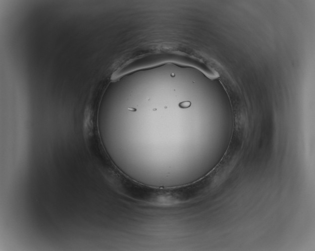 X0000102370264200808011519