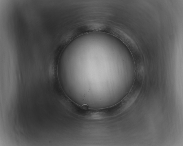 X0000102370268200808011519
