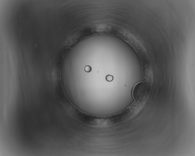 X0000102370272200808011519
