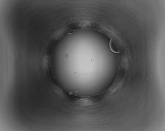 X0000102370280200808011519