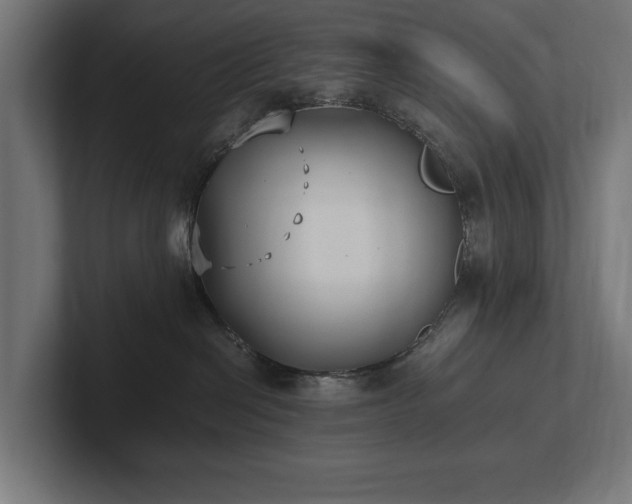 X0000102370286200808011519