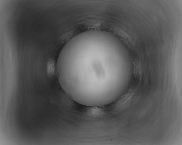 X0000102370287200808011519