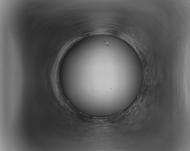 X0000102370289200808011519