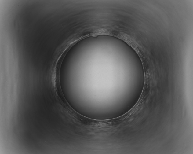 X0000102370290200808011519