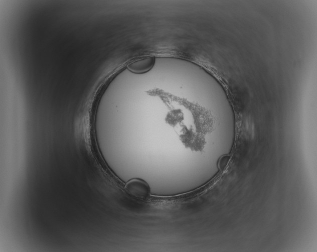 X0000102370293200808011519