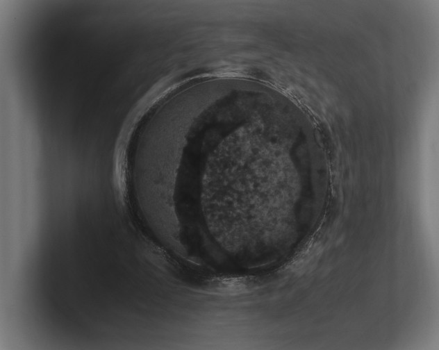 X0000102370295200808011519