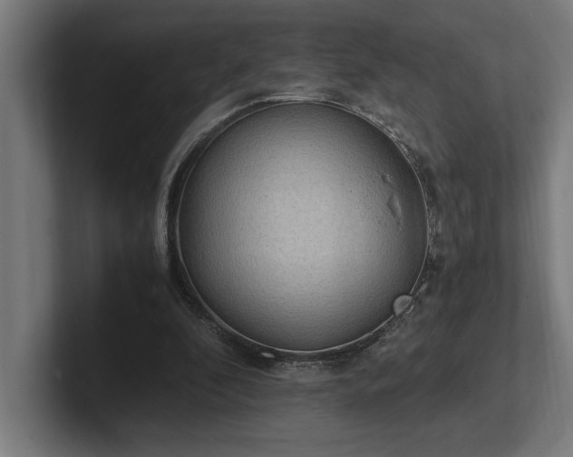 X0000102370296200808011519