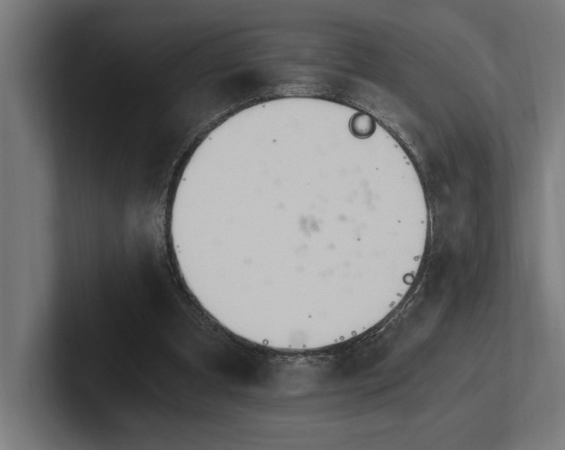 X0000102370297200808011519