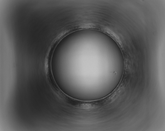 X0000102370298200808011519