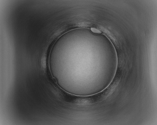 X0000102370299200808011519