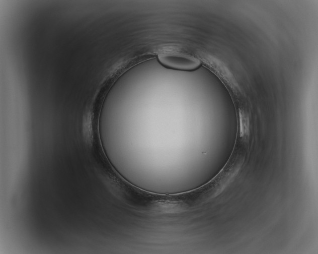 X0000102370300200808011519