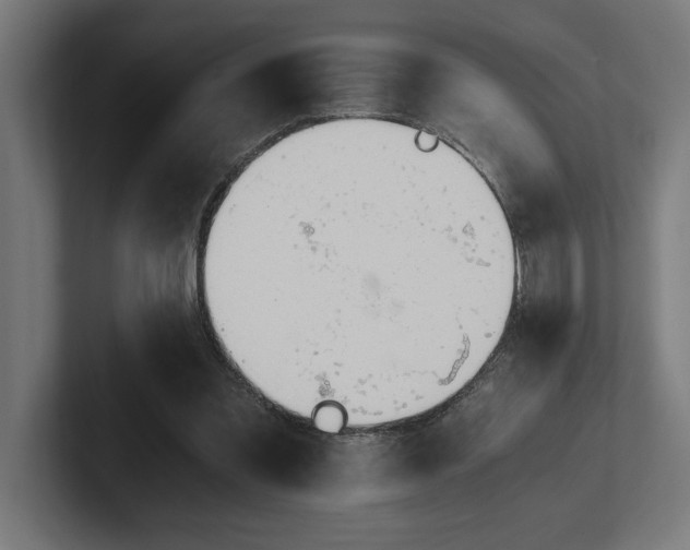 X0000102370301200808011519