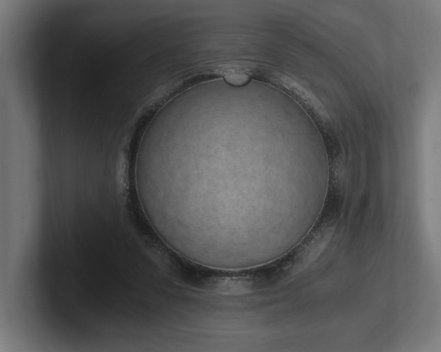 X0000102370303200808011519