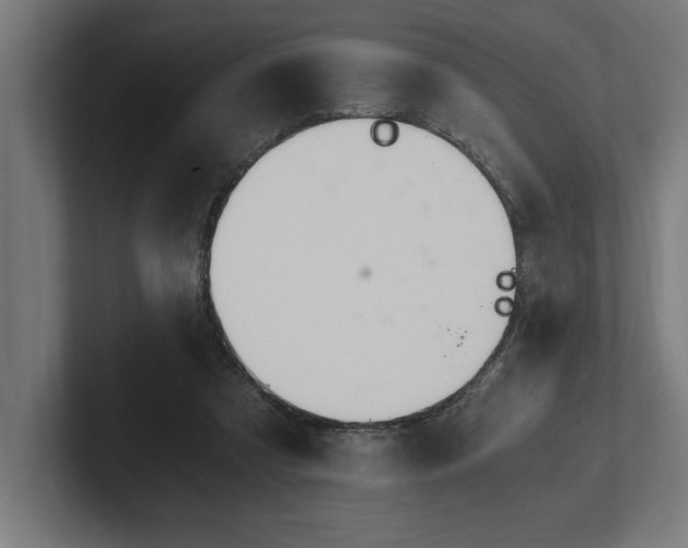 X0000102370305200808011518