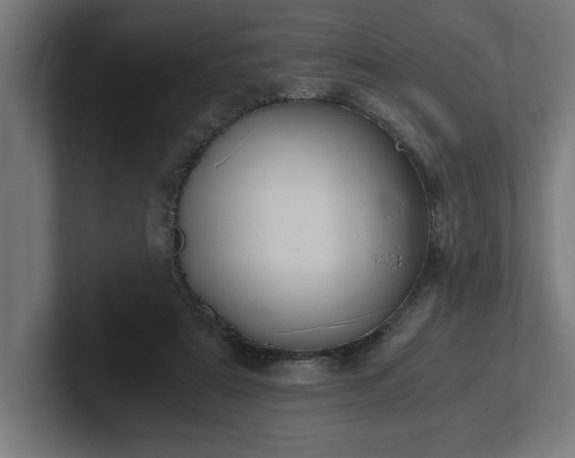 X0000102370307200808011518