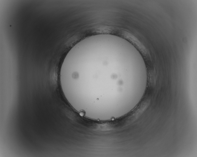 X0000102370309200808011518