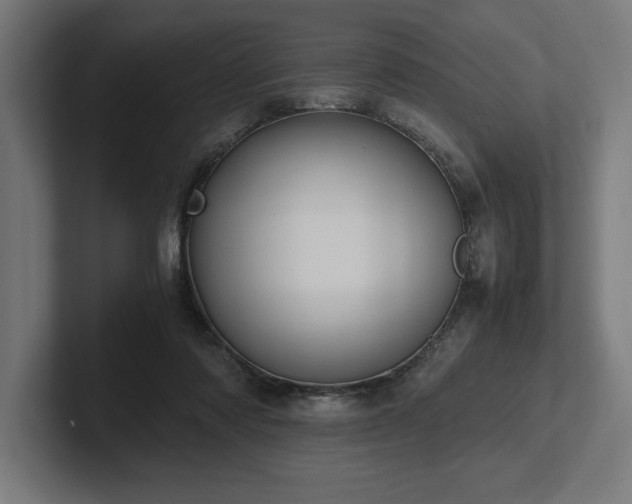 X0000102370310200808011518