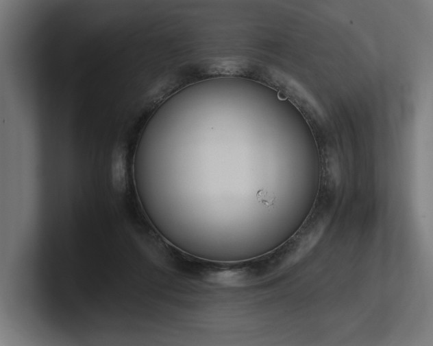 X0000102370312200808011518