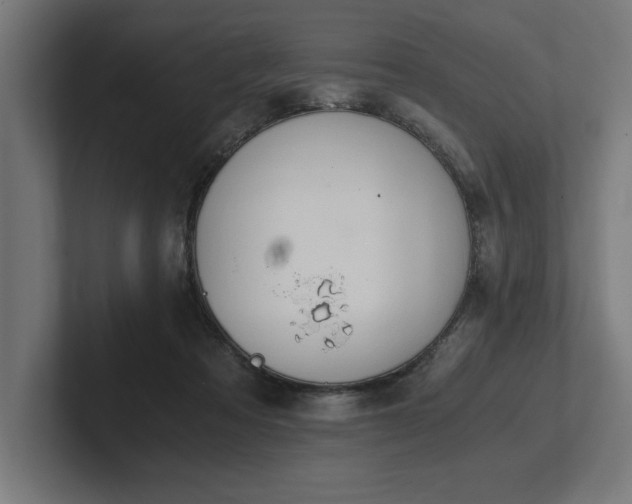 X0000102370313200808011518